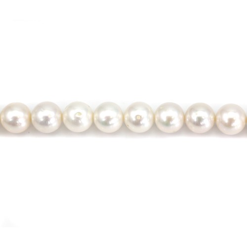 Freshwater cultured pearls, white, round, 9.5-10mm x 40cm