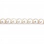 Perle de culture d'eau douce, blanche, ronde, 9.5-10mm x 40cm