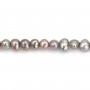 Perles de culture d'eau douce, gris, ovale/irrégulière, 5-6mm x 39cm