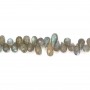 Labradorite briolette gota facetada 4-5* 7-10mm x21cm