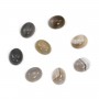 Cabochon d'agate du boswana, de forme ovale, 4 * 6mm x 4pcs