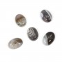 Cabochon agate du boswana, de forme ovale, 13x18mm x 1pc