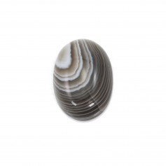 Cabochon agate du boswana, de forme ovale, 5x7mm x 4pcs