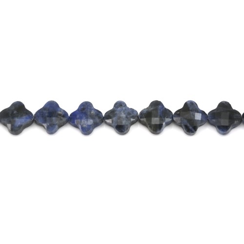 Sodalite trèfle facette 13 mm  x 40cm