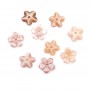 Nacre rose en fleur à 5 pétales 8mm x 1pc