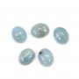 Cabochon aigue marine oval 8x12mm  x 1pc