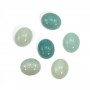 Cabochon amazonite ovale 10x12mm x 2pcs