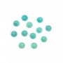 Cabochon amazonite du pérou, de forme ronde, 2mm x 2pcs