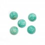 Cabochon amazonite du pérou, de forme ronde, 16mm x 1pc