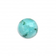 Cabochon Chrysocolle, de forme dome ronde 10mm x 1pc