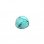 Cabochon Chrysocolle, de forme dome ronde 10mm x 1pc
