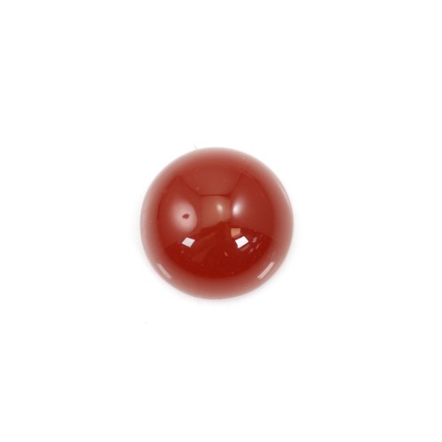 Cabochon carnelian round 10mm x 2pcs