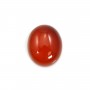 Cabochon cornaline ovale 10x12mm x 4pcs
