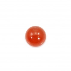 Cabochon cornaline ronde 4mm x 4pcs