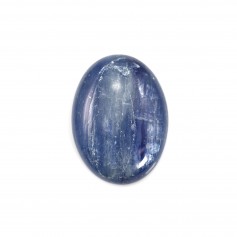 Cabochon Cyanite Ovale 15x20mm x 1pc