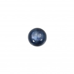 Cabochon Cyanite Rond 8mm x 1pc