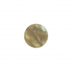 Cabochon labradorite, rond plat 10mm x 1pc