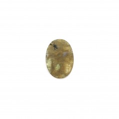 Cabochon labradorite, oval plat 10x14mm x 1pc