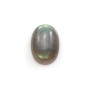 Cabochon de labradorite, de forme ovale, 6 * 8mm x 4pcs