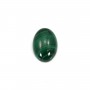 Cabochon Malachite Ovale 13x18mm  x 1pc
