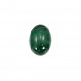 Cabochon Malachite Ovale 10x14mm x 1pc