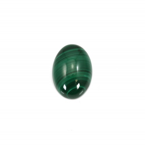 Cabochon Malachite Oval 12x16mm 