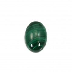 Cabochon Malachite Ovale 15x20mm  x 1pc