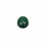 Cabochon Malachite Ovale 15x20mm  x 1pc