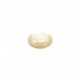 Cabochon rond 14 mm Nacre Blanc x1