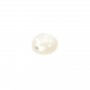 Cabochon rond 12 mm Nacre Blanc x1
