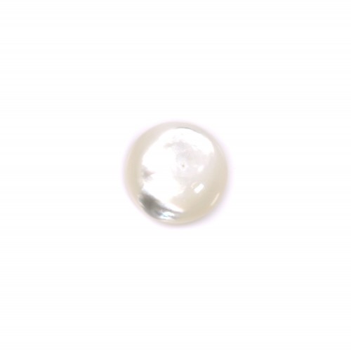 Round cabochon 10mm White Mother-of-Pearl x1