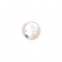 Cabochon rond 10 mm Nacre Blanc x1