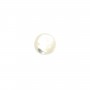 Cabochon rond 4 mm Nacre Blanc x2