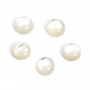 Cabochon rond 6 mm Nacre Blanc x2