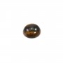 Cabochon oeil de tigre rond 10mm x 2pcs