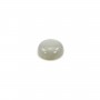 Cabochon pierre de lune rond 10mm x 1pc