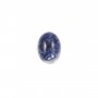 Cabochon Sodalite Ovale 12x16mm x 1pc