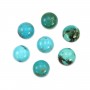 Cabochon Turquoise rond 14mm x1pc