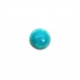 Cabochon turquoise de forme ronde 4mm x 1pc