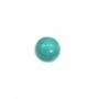Cabochon turquoise rond 6mm x1pc