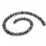 Cultured pearl of Tahiti, half-round shape, 8-11 mm x 40cm
