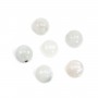 Cabochon pierre de lune rond 6mm x 1pc