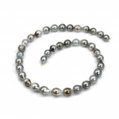 Cultured pearl of Tahiti half-round shape 8-10mm x 40cm