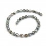 Cultured pearl of Tahiti half-round shape 8-10mm x 40cm