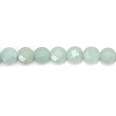 Amazonite ronde plate facette 8mm x 6pcs