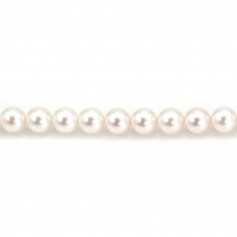 White japonais  AKOYA pearl  culture round 7-8mm x 40cm