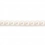 Perles culture AKOYA japonais rond  8-9mm  AAA x 40cm