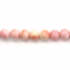 Lambi rose rond 6mm x 39cm
