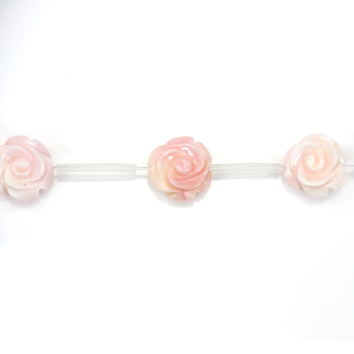 Queen conch flower 12mm x 40cm