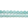 Amazonite Ronde Plate